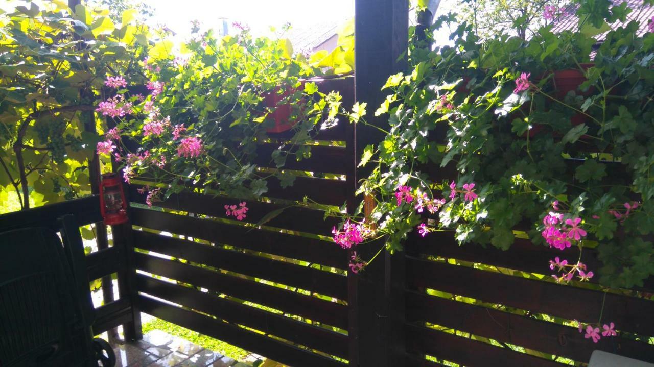 Sunce *