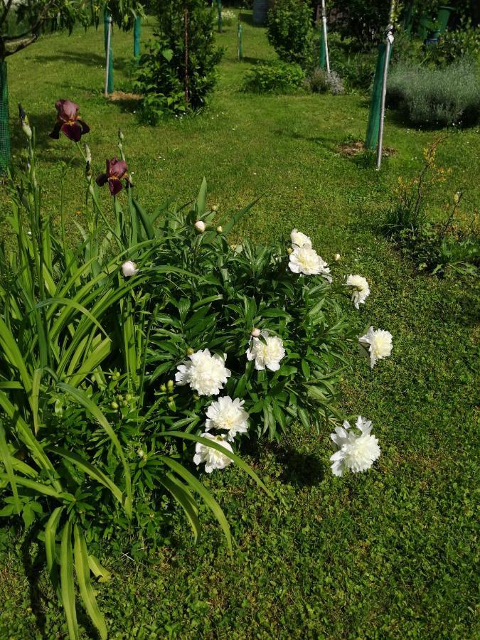 Sunce Ogulin
